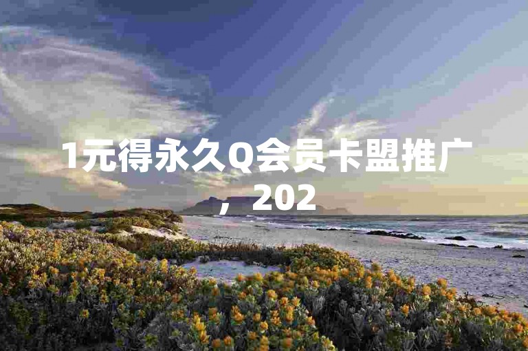 1元得永久Q会员卡盟推广，2025年热门技巧速学！