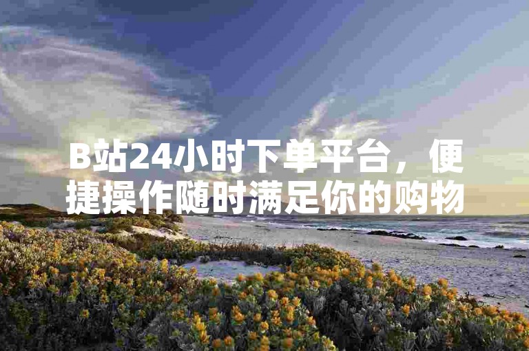 B站24小时下单平台，便捷操作随时满足你的购物需求。