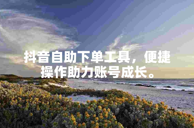 抖音自助下单工具，便捷操作助力账号成长。