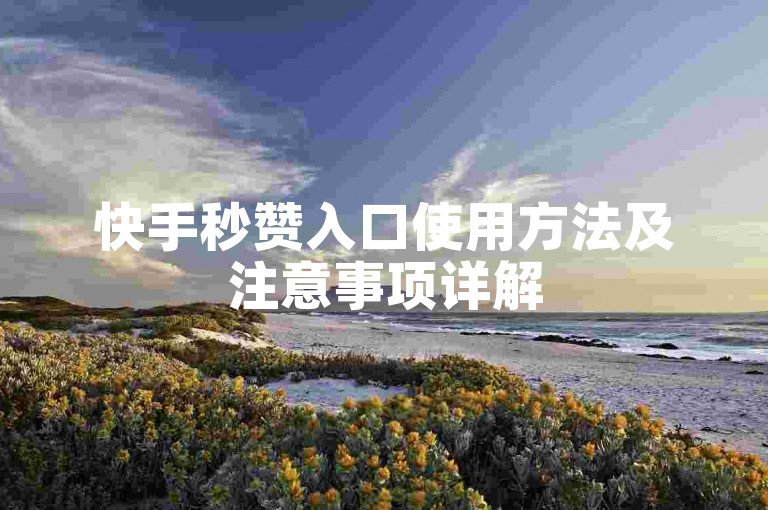 快手秒赞入口使用方法及注意事项详解