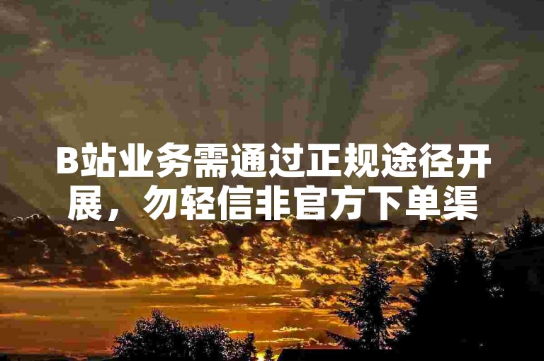 B站业务需通过正规途径开展，勿轻信非官方下单渠道。