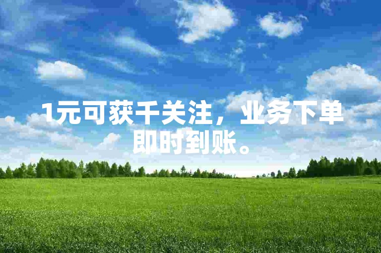 1元可获千关注，业务下单即时到账。