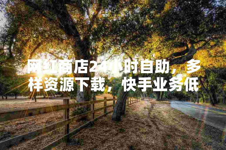 网红商店24小时自助，多样资源下载，快手业务低价畅享