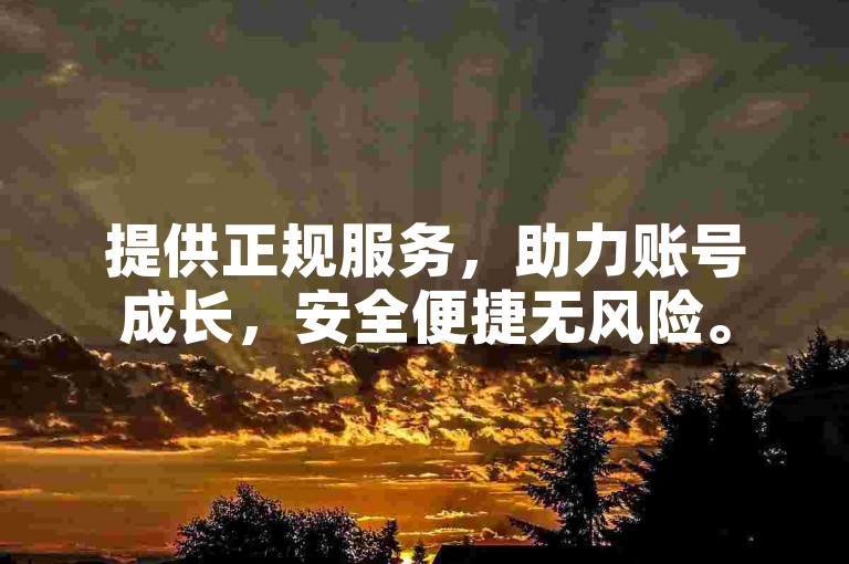提供正规服务，助力账号成长，安全便捷无风险。