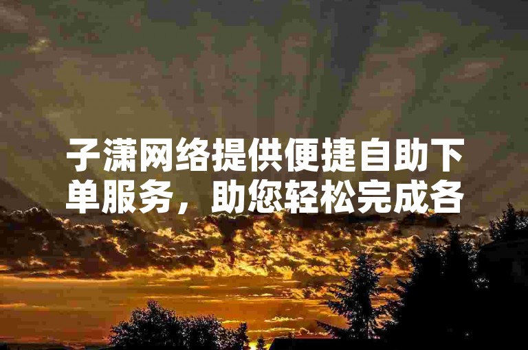 子潇网络提供便捷自助下单服务，助您轻松完成各类业务需求。