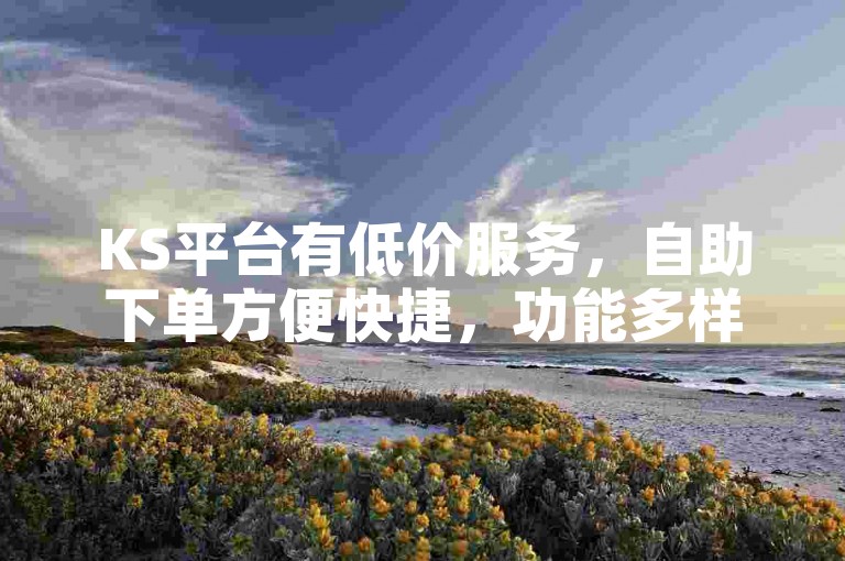KS平台有低价服务，自助下单方便快捷，功能多样待体验。
