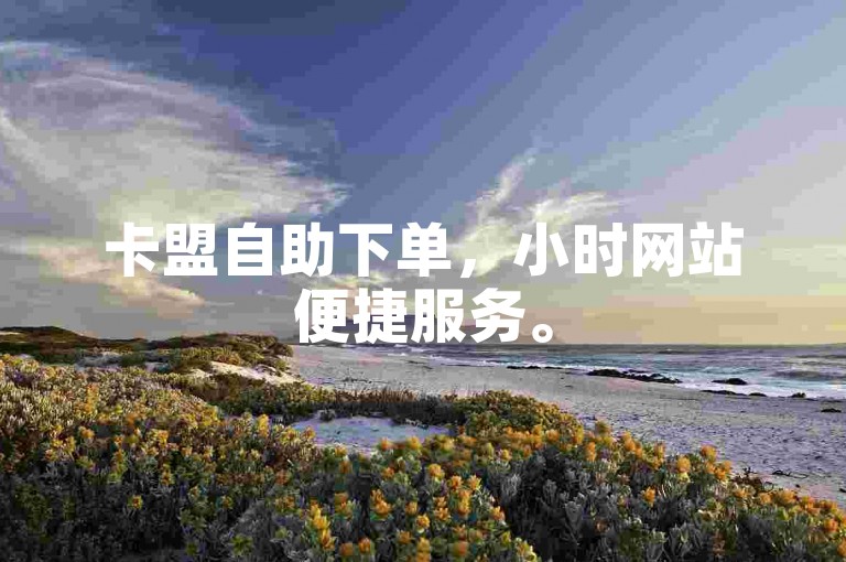 卡盟自助下单，小时网站便捷服务。