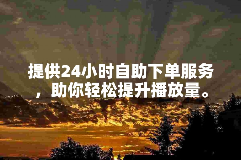 提供24小时自助下单服务，助你轻松提升播放量。