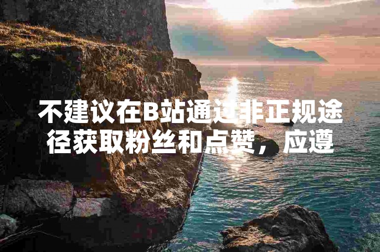 不建议在B站通过非正规途径获取粉丝和点赞，应遵守平台规则。