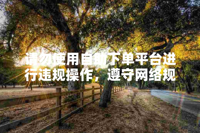请勿使用自助下单平台进行违规操作，遵守网络规则。