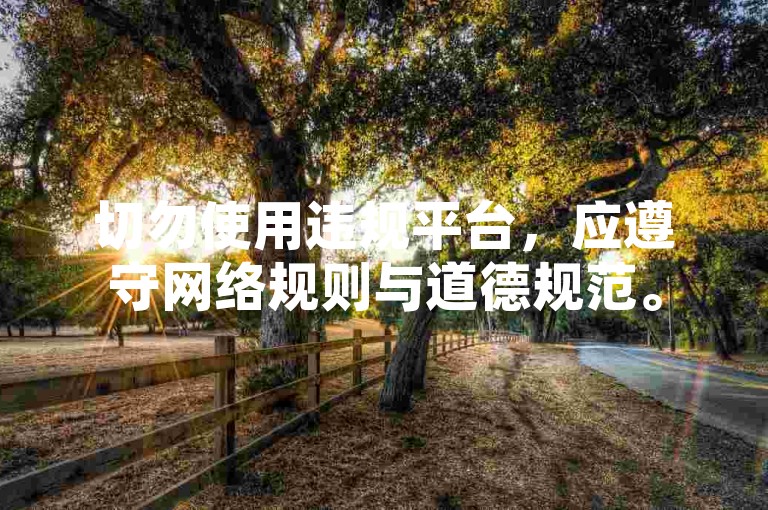 切勿使用违规平台，应遵守网络规则与道德规范。