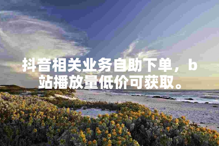 抖音相关业务自助下单，b站播放量低价可获取。