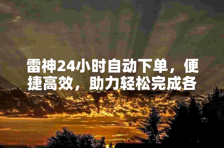雷神24小时自动下单，便捷高效，助力轻松完成各类任务。