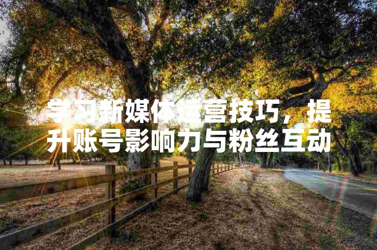 学习新媒体运营技巧，提升账号影响力与粉丝互动。