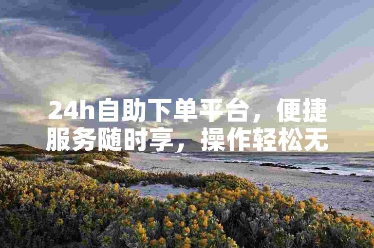 24h自助下单平台，便捷服务随时享，操作轻松无困扰。