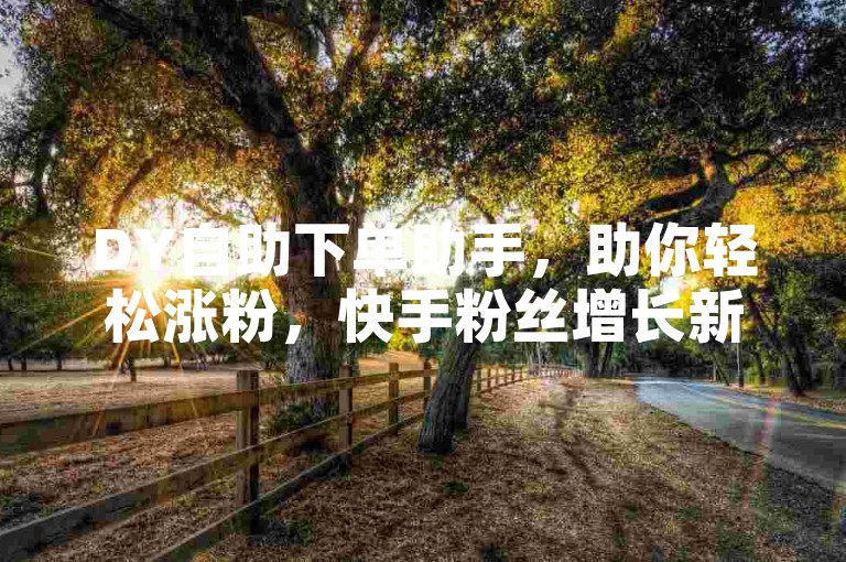 DY自助下单助手，助你轻松涨粉，快手粉丝增长新选择。
