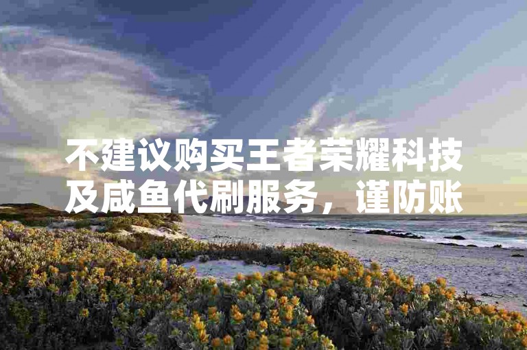 不建议购买王者荣耀科技及咸鱼代刷服务，谨防账号风险。