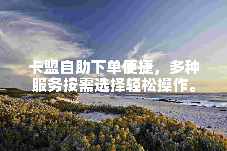 卡盟自助下单便捷，多种服务按需选择轻松操作。