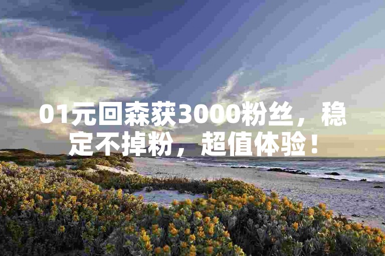 01元回森获3000粉丝，稳定不掉粉，超值体验！