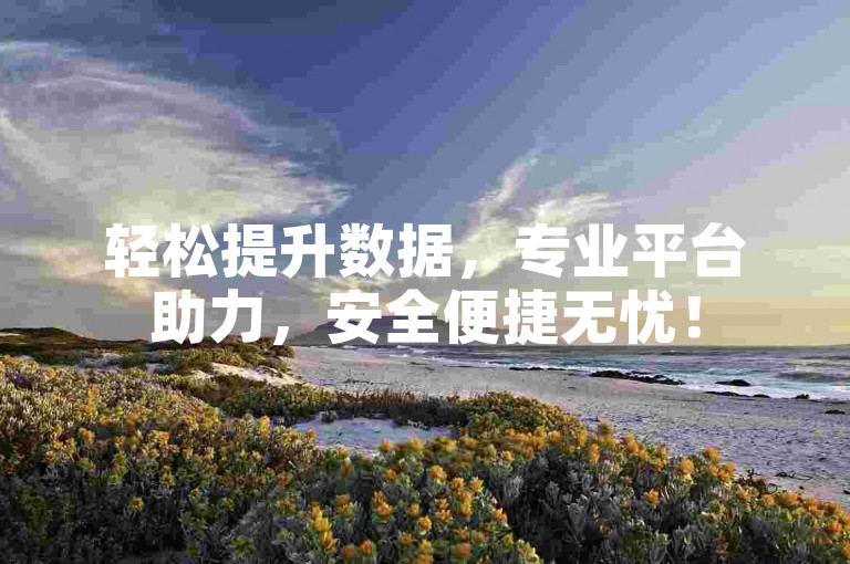 轻松提升数据，专业平台助力，安全便捷无忧！