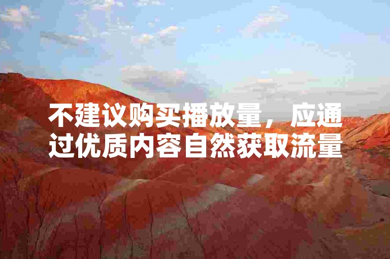 不建议购买播放量，应通过优质内容自然获取流量。