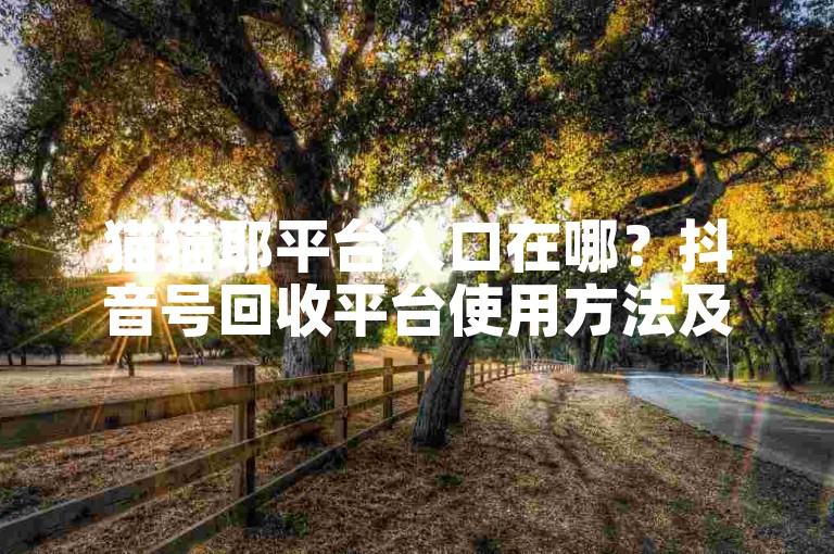 猫猫耶平台入口在哪？抖音号回收平台使用方法及注意事项详解