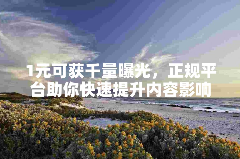 1元可获千量曝光，正规平台助你快速提升内容影响力。