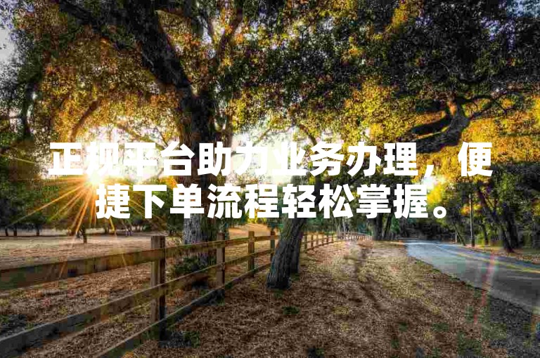 正规平台助力业务办理，便捷下单流程轻松掌握。
